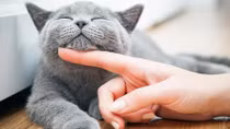 Có xử phạt mới giúp nâng cao ý thức