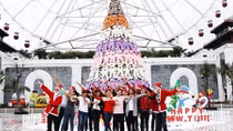 Đón giáng sinh với cây thông gấu bông lớn nhất Việt Nam tại Asia Park