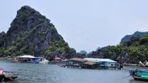 Chấm dứt nuôi thủy sản trong vịnh Hạ Long