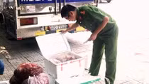 Phát hiện nhiều tấn nội tạng động vật không rõ nguồn gốc
