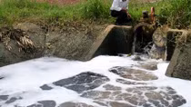 Doanh nghiệp chế biến hải sản xả thải gây ô nhiễm môi trường