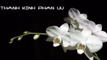 Lời chia buồn