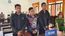 Bị trái xoài rơi trúng chân, gọi đồng bọn đập xe báo thù