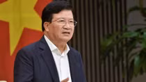 Phó Thủ tướng: Xử lý ngay những bất cập trong xuất khẩu gạo