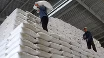Sẽ xử lý những doanh nghiệp “xù” hợp đồng đấu thầu gạo dự trữ quốc gia