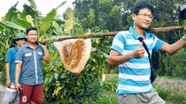 Du lịch nông nghiệp giúp nông dân cải thiện thu nhập