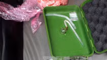 Thu giữ ma túy trên xe ô tô gắn biển xanh giả