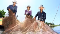 Phấp phỏng mùa nước nổi