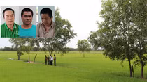 Làm rõ nhóm đối tượng lừa đảo chiếm đoạt tiền mua lúa của thương lái