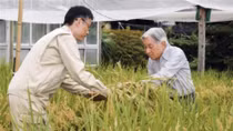  Một số công trình nghiên cứu khoa học kỳ thú của Nhật Hoàng Akihito 
