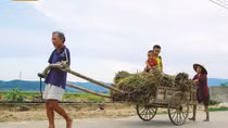 Gặp lại “chim cánh cụt” Hoa Xuân Tứ