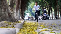 Hà Nội đẹp nao lòng mùa lá rụng