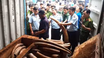 Quyết liệt chống buôn lậu ở phía Nam