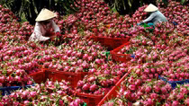 Đẩy mạnh xuất khẩu dịp cuối năm