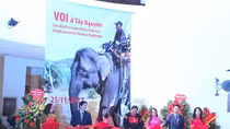 Trưng bày đồ nghề của “vua voi” Amakong