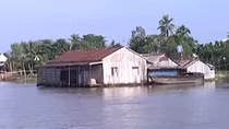 Cù lao “xuất ngoại”