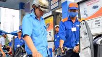 Triển khai dán tem đồng hồ công tơ tổng cột đo xăng, dầu