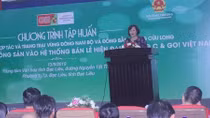 Hơn 100 hợp tác xã kết nối tiêu thụ nông sản trong siêu thị