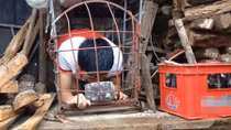 Cần mạnh tay với những clip nhảm gắn mác trẻ em