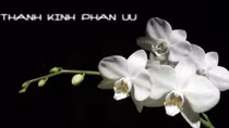 Lời chia buồn
