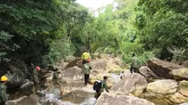 Những người giữ rừng ngày Tết