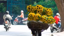 Thời tiết ngày 19-9: Bắc Bộ, Trung Bộ tiếp tục nắng mạnh, trời oi bức