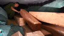 Thông báo tìm chủ sở hữu