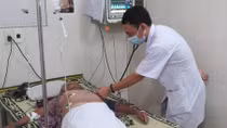 Ra vườn cắt cỏ, cụ bà bị cả bầy ong vò vẽ tấn công