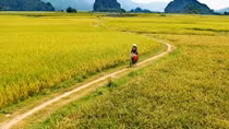 Những câu chuyện kể từ đất