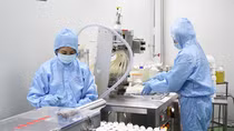 Vắc xin cúm A/H5N1 cho gia cầm đầu tiên do Việt Nam nghiên cứu, sản xuất