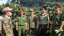 Chỉ đạo, điều hành nổi bật của Chính phủ trong tuần