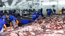 Xuất khẩu thủy sản sẽ đạt 680 triệu USD trong tháng 4