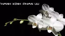 Lời chia buồn