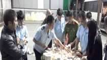 43kg đồ mỹ nghệ nghi là ngà voi