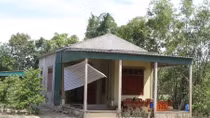 Tấn bi kịch nhói lòng