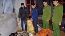Rải bả bắt mèo giết thịt bán cho các quán tiểu hổ