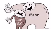 Nâng cao hay nâng thấp?