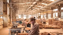 Triển vọng lớn của ngành gỗ xuất khẩu 