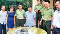 Bàn giao 5 con rái cá cho Bảo tàng thiên nhiên Việt Nam