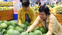 Xuất khẩu hoa quả sang Trung Quốc giảm mạnh