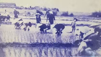 Gió Đại Phong vẫn thổi miên man bờ cát trắng 
