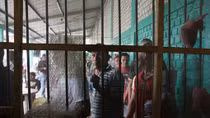 Chuyện thật như đùa ở Honduras tù nhân kiểm soát nhà giam