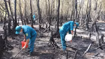 Đang tìm nguyên nhân cháy rừng tràm ở An Giang