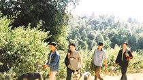 Theo cảnh khuyển "phá án" nơi đại ngàn