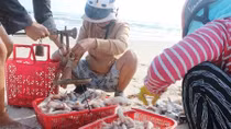 Cùng ngư dân ra khơi đánh bắt cá khoai