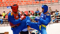 350 VĐV tham dự giải vô địch vovinam toàn quốc