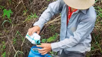 Nỗi ám ảnh mang tên thuốc diệt cỏ
