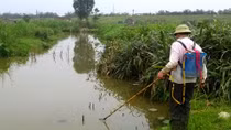 Tử vong do dùng kích điện đánh cá