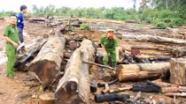 Lào hoan nghênh Việt Nam đóng cửa rừng Tây Nguyên