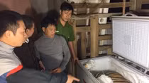 Phát hiện 1 cá thể hổ đông lạnh trong nhà một người dân